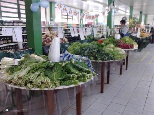 Feira HF